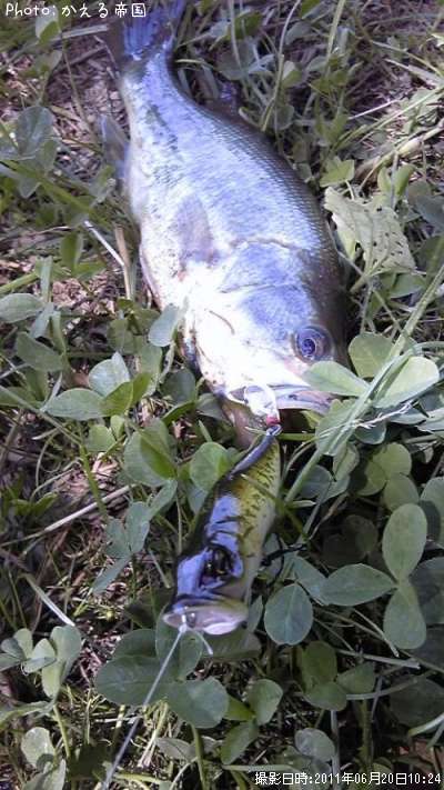 �֥�å��Х�