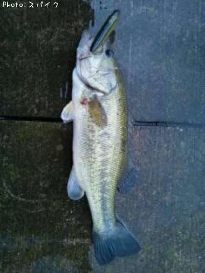 �֥�å��Х�