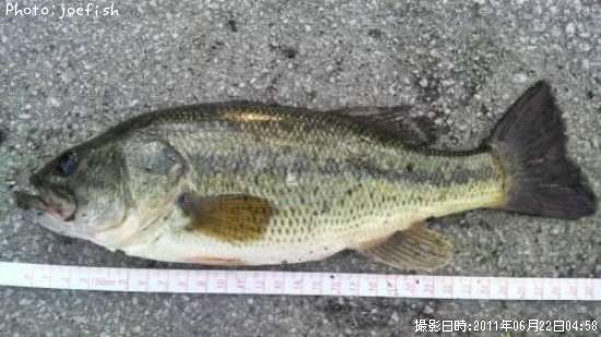 �֥�å��Х�