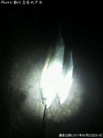 �����Х�