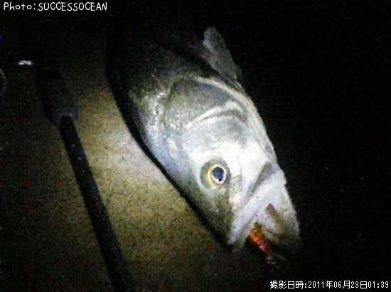 �����Х�