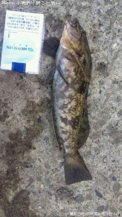 �����ʥ�