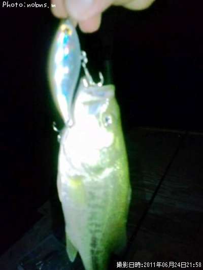 �֥�å��Х�