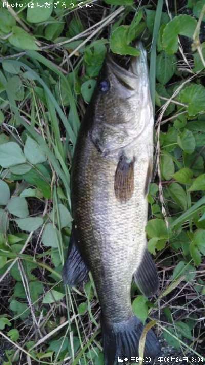 �֥�å��Х�