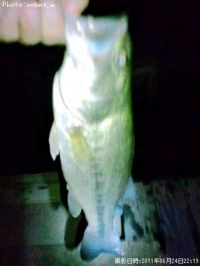 �֥�å��Х�