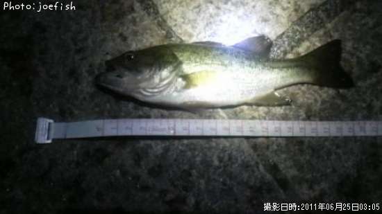 �֥�å��Х�