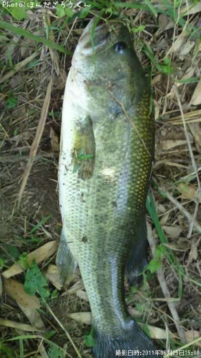 �֥�å��Х�