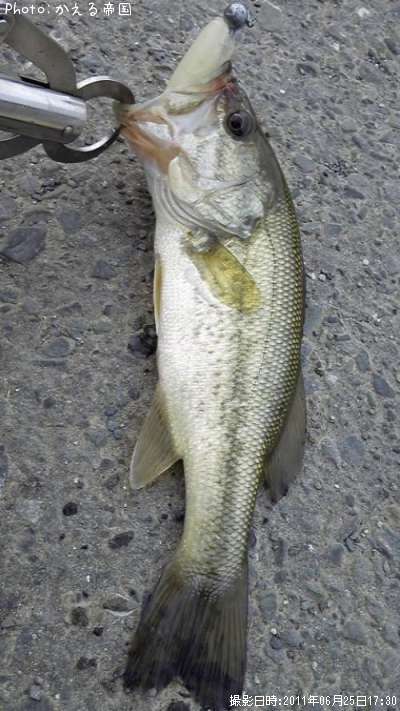 �֥�å��Х�