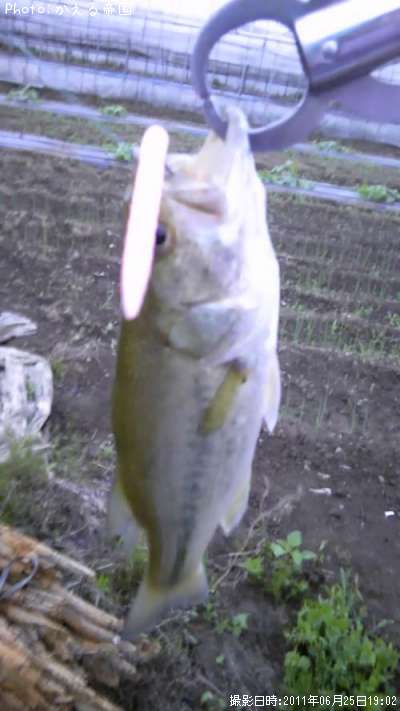 �֥�å��Х�