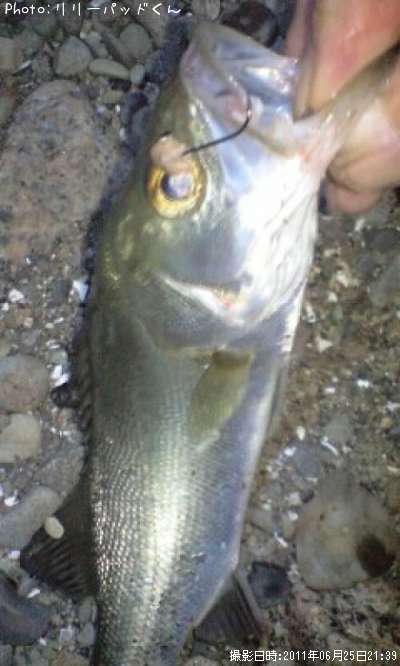 ���������ޤĤ������ʾС�