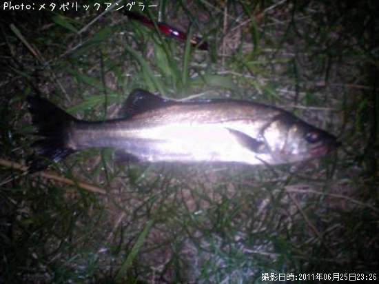 �����Х�