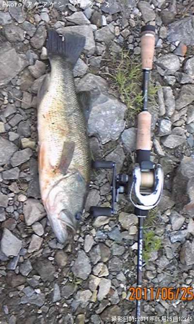 �֥�å��Х�