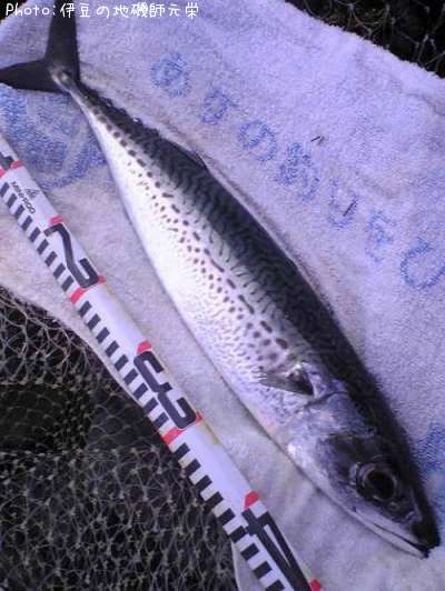 ���ޥ���