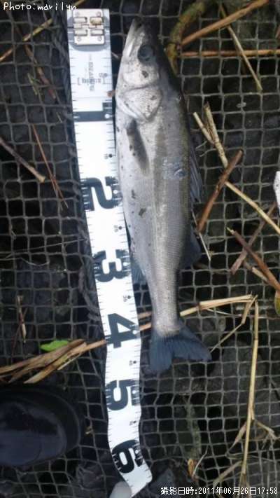 �����Х�