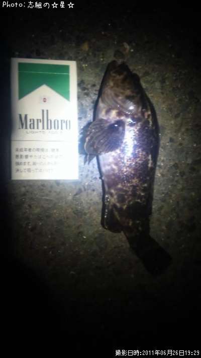 �����Υ���Х�