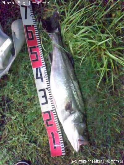 �����Х�