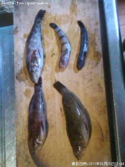 �����ʥ�