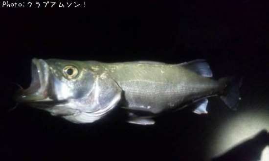 �����Х�