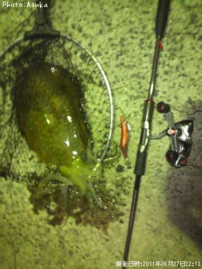 �����ꥤ��