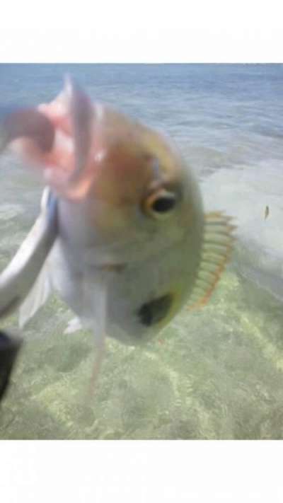 �ޥȥե��ե�����