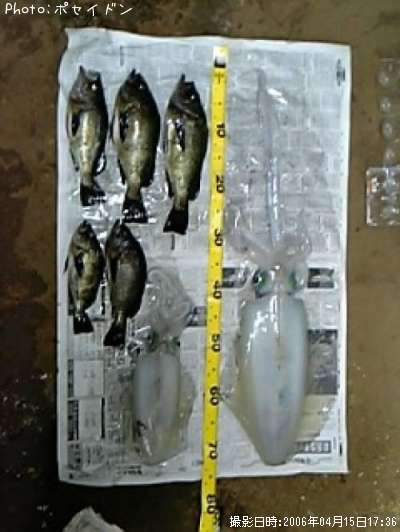 ��Х롦�����ꥤ��