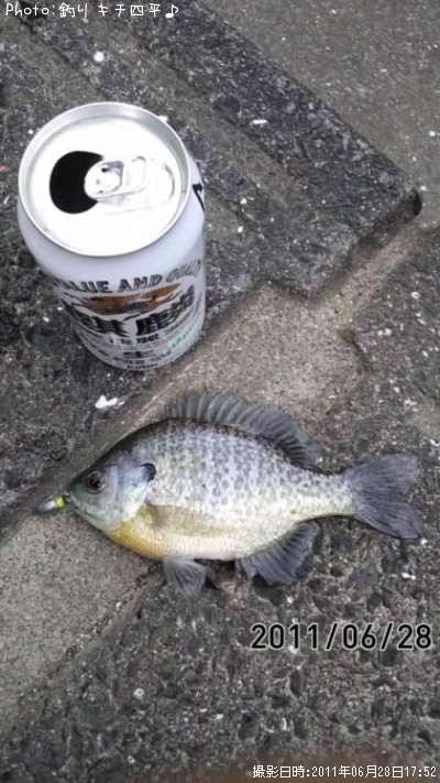 �֥롼����