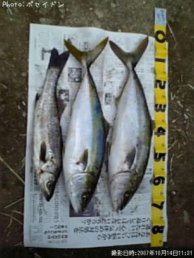 �ϥޥ��������Х�