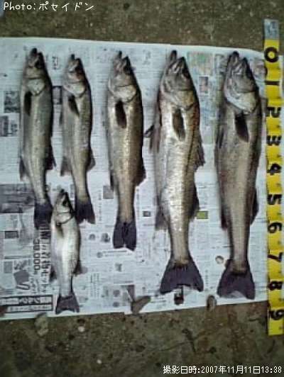 �����Х�