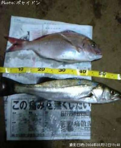 �ޥ����������Х�