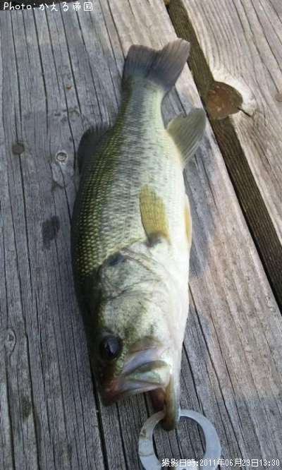 �֥�å��Х�