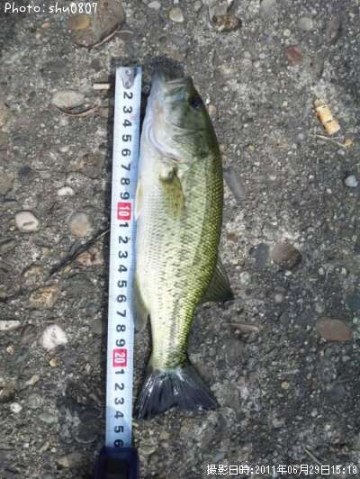 �֥�å��Х�