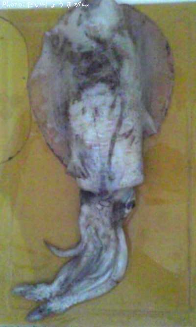 �����ꥤ��