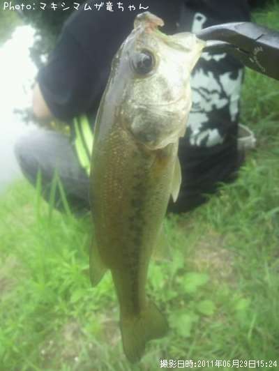 �֥�å��Х�