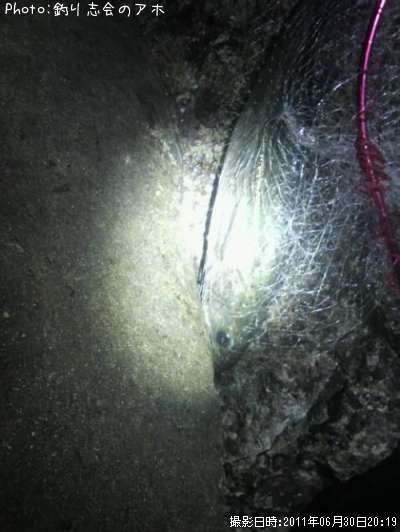 �����Х�