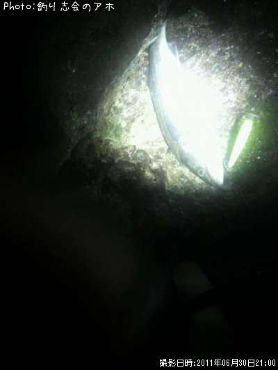 �����Х�