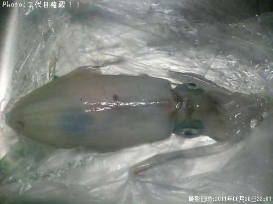 �����ꥤ��