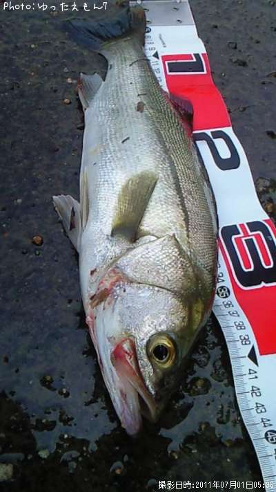 �����Х�