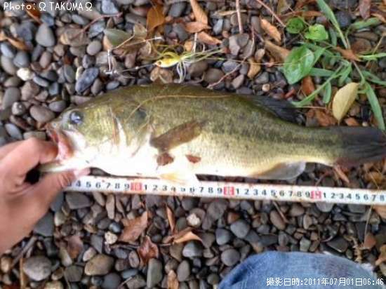 �֥�å��Х�