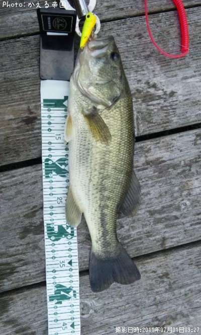 �֥�å��Х�