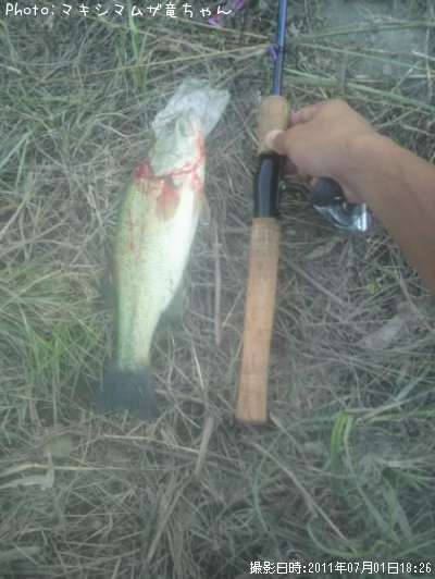 �֥�å��Х�