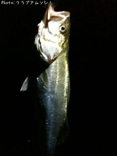 �����Х�