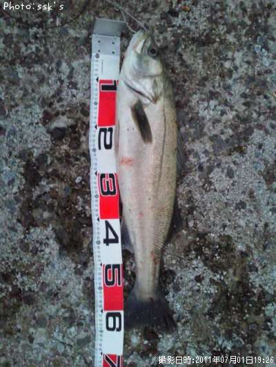 �����Х�