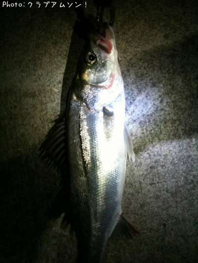 �����Х�