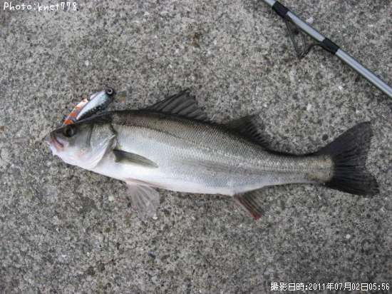 �����Х�