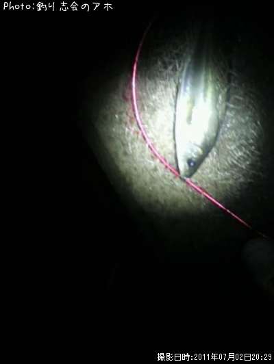 �����Х�