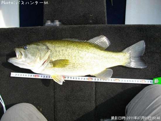 �֥�å��Х�