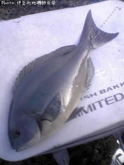 ��Ĺ�᥸��