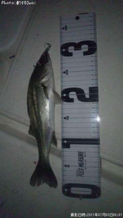 �����Х�