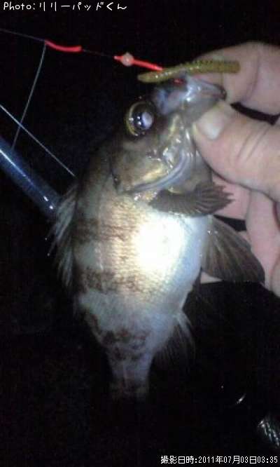 �ʤ�����Х����