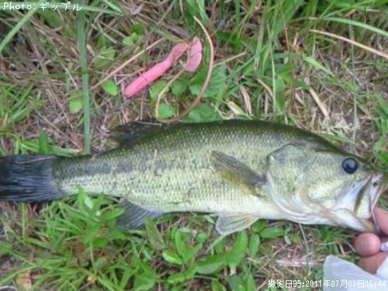 �֥�å��Х�